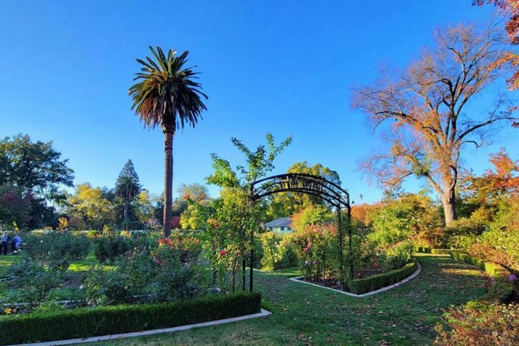 Artist'S Retreat Near The Heart Of The City 薩克拉門托 外观 照片